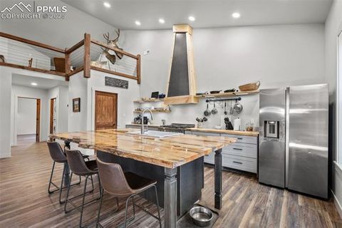 Tiny photo for 2270 Pikes Peak Drive, Florissant, CO 80816 (MLS # 9950390)