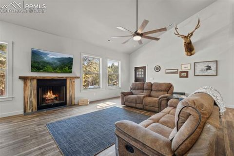 Tiny photo for 2270 Pikes Peak Drive, Florissant, CO 80816 (MLS # 9950390)