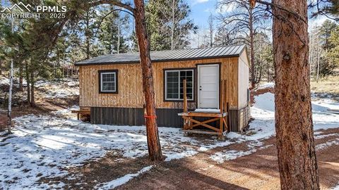 Tiny photo for 2270 Pikes Peak Drive, Florissant, CO 80816 (MLS # 9950390)