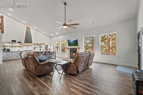 Tiny photo for 2270 Pikes Peak Drive, Florissant, CO 80816 (MLS # 9950390)