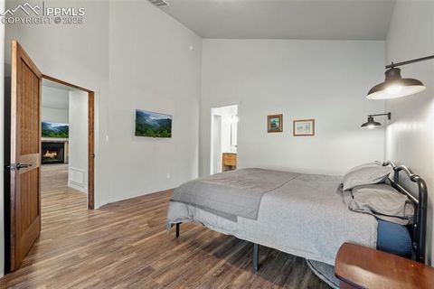 Tiny photo for 2270 Pikes Peak Drive, Florissant, CO 80816 (MLS # 9950390)