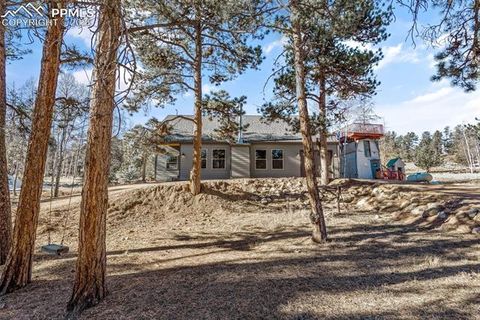 Tiny photo for 2270 Pikes Peak Drive, Florissant, CO 80816 (MLS # 9950390)