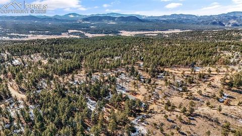 Tiny photo for 2270 Pikes Peak Drive, Florissant, CO 80816 (MLS # 9950390)