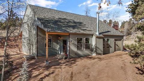 Photo of 2270 Pikes Peak Drive, Florissant, CO 80816 (MLS # 9950390)