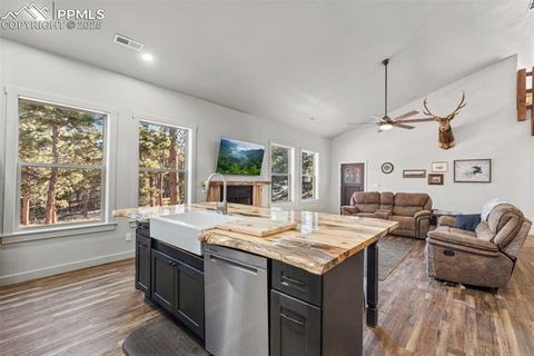 Tiny photo for 2270 Pikes Peak Drive, Florissant, CO 80816 (MLS # 9950390)