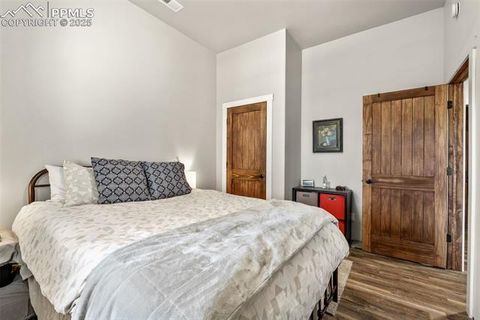 Tiny photo for 2270 Pikes Peak Drive, Florissant, CO 80816 (MLS # 9950390)