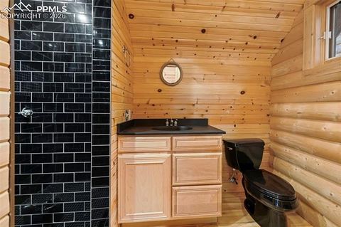 Tiny photo for 7415 W Highway 24, Cascade, CO 80809 (MLS # 9567793)