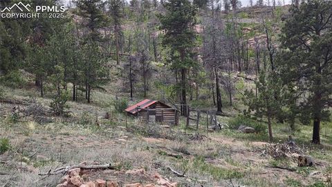 3457 Highland Meadows Drive Florissant CO 80816