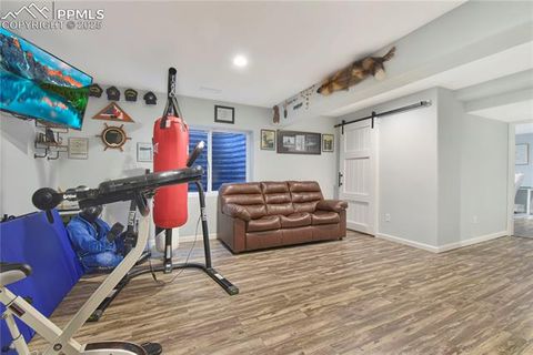 Tiny photo for 7246 Dutch Loop, Colorado Springs, CO 80925 (MLS # 4322241)