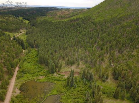 Photo of 10223 Trail Creek Road, Florissant, CO 80816 (MLS # 5772251)