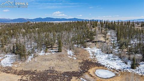 Photo of 600 Pronghorn Drive, Como, CO 80432 (MLS # 5737451)