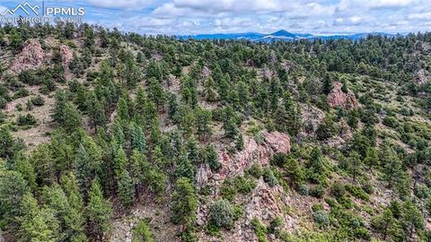 Tiny photo for 62 Cheyenne Road, Florissant, CO 80816 (MLS # 4835678)