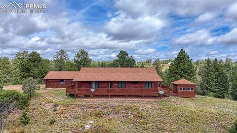 Tiny photo for 62 Cheyenne Road, Florissant, CO 80816 (MLS # 4835678)