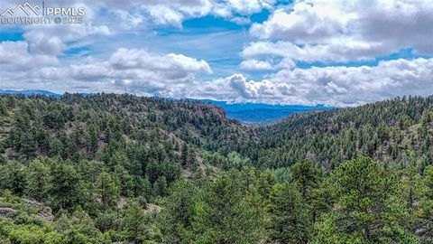 Tiny photo for 62 Cheyenne Road, Florissant, CO 80816 (MLS # 4835678)