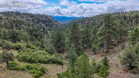 Tiny photo for 62 Cheyenne Road, Florissant, CO 80816 (MLS # 4835678)