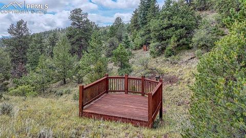 Tiny photo for 62 Cheyenne Road, Florissant, CO 80816 (MLS # 4835678)