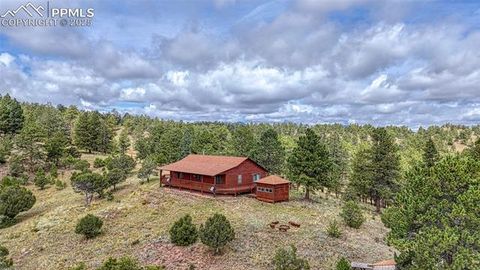 Photo of 62 Cheyenne Road, Florissant, CO 80816 (MLS # 4835678)