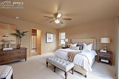 Tiny photo for 62 Cheyenne Road, Florissant, CO 80816 (MLS # 4835678)