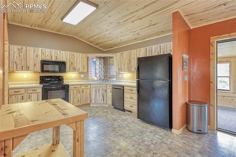 Tiny photo for 62 Cheyenne Road, Florissant, CO 80816 (MLS # 4835678)