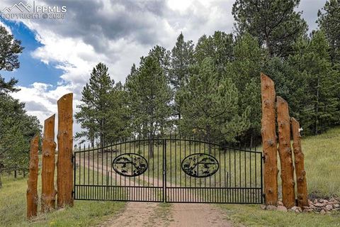 Tiny photo for 62 Cheyenne Road, Florissant, CO 80816 (MLS # 4835678)
