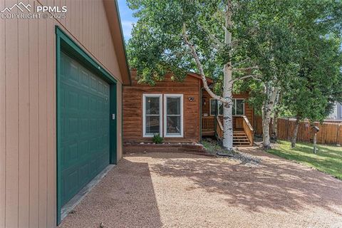 Tiny photo for 1127 Michael Lane, Woodland Park, CO 80863 (MLS # 6638728)