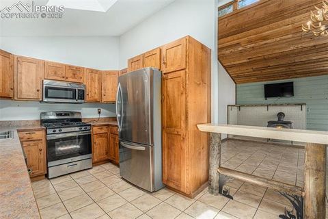 Tiny photo for 1127 Michael Lane, Woodland Park, CO 80863 (MLS # 6638728)