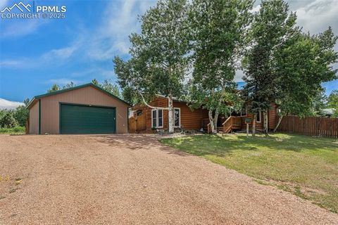 Tiny photo for 1127 Michael Lane, Woodland Park, CO 80863 (MLS # 6638728)