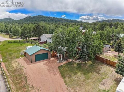 Tiny photo for 1127 Michael Lane, Woodland Park, CO 80863 (MLS # 6638728)