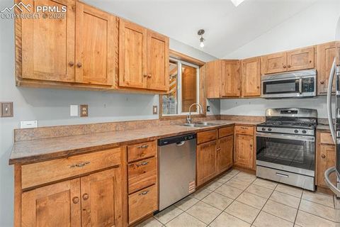 Tiny photo for 1127 Michael Lane, Woodland Park, CO 80863 (MLS # 6638728)