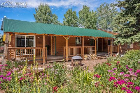 Tiny photo for 1127 Michael Lane, Woodland Park, CO 80863 (MLS # 6638728)