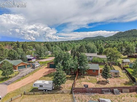 Tiny photo for 1127 Michael Lane, Woodland Park, CO 80863 (MLS # 6638728)