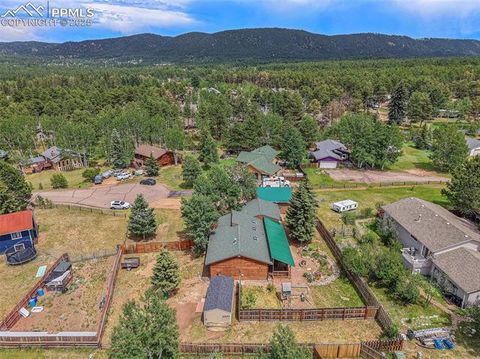 Tiny photo for 1127 Michael Lane, Woodland Park, CO 80863 (MLS # 6638728)