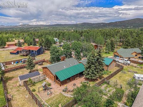 Tiny photo for 1127 Michael Lane, Woodland Park, CO 80863 (MLS # 6638728)