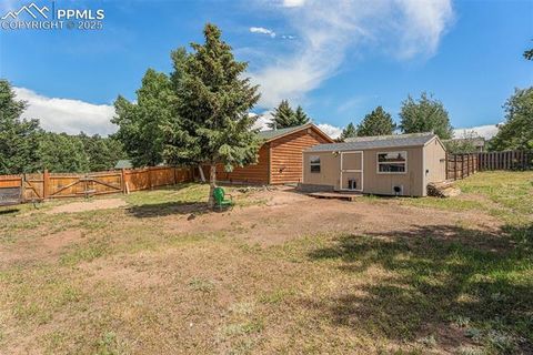 Tiny photo for 1127 Michael Lane, Woodland Park, CO 80863 (MLS # 6638728)