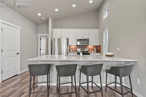 Tiny photo for 1344 Sunshine Valley Way, Colorado Springs, CO 80921 (MLS # 4097812)