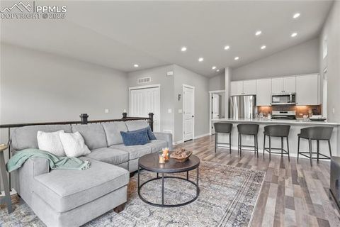 Tiny photo for 1344 Sunshine Valley Way, Colorado Springs, CO 80921 (MLS # 4097812)