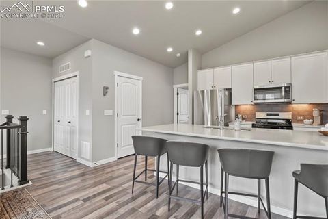 Tiny photo for 1344 Sunshine Valley Way, Colorado Springs, CO 80921 (MLS # 4097812)