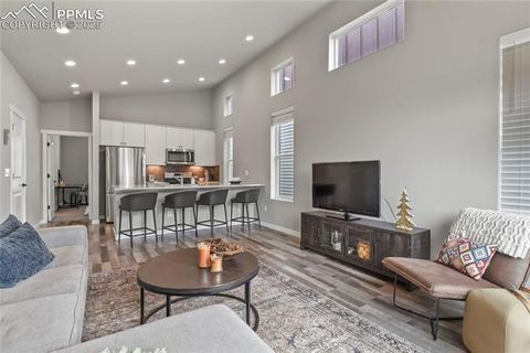 Tiny photo for 1344 Sunshine Valley Way, Colorado Springs, CO 80921 (MLS # 4097812)