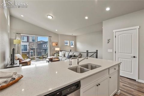 Tiny photo for 1344 Sunshine Valley Way, Colorado Springs, CO 80921 (MLS # 4097812)