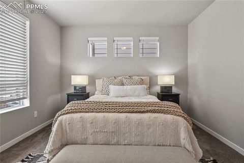 Tiny photo for 1344 Sunshine Valley Way, Colorado Springs, CO 80921 (MLS # 4097812)