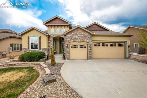 Photo of 13258 Dominus Way, Colorado Springs, CO 80921 (MLS # 1257520)
