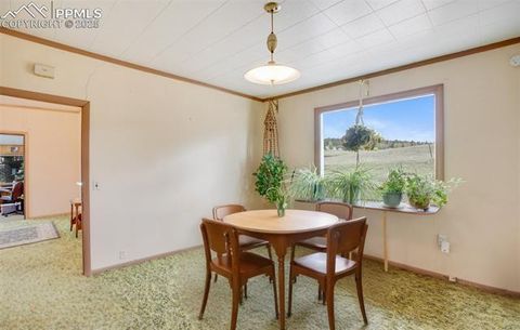 Tiny photo for 3579 County Road 42, Florissant, CO 80816 (MLS # 4313245)