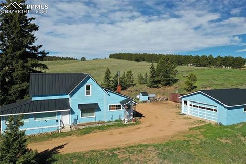 Photo of 3579 County Road 42, Florissant, CO 80816 (MLS # 4313245)