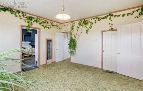Tiny photo for 3579 County Road 42, Florissant, CO 80816 (MLS # 4313245)