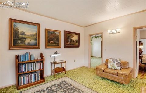 Tiny photo for 3579 County Road 42, Florissant, CO 80816 (MLS # 4313245)
