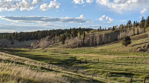 Tiny photo for 3579 County Road 42, Florissant, CO 80816 (MLS # 4313245)
