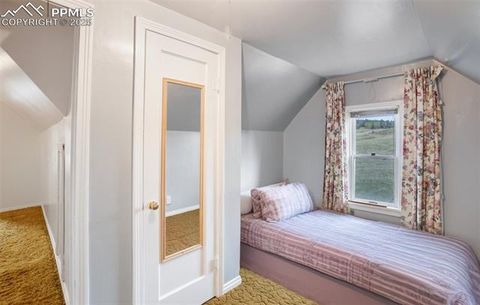 Tiny photo for 3579 County Road 42, Florissant, CO 80816 (MLS # 4313245)