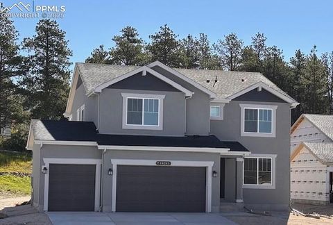 16261 Gammon Court Monument CO 80132