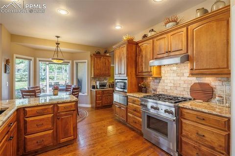 Tiny photo for 1035 Parkway Lane, Woodland Park, CO 80863 (MLS # 8726084)