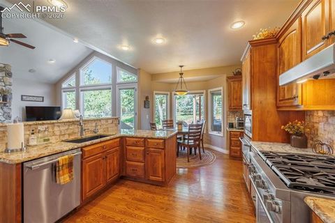 Tiny photo for 1035 Parkway Lane, Woodland Park, CO 80863 (MLS # 8726084)